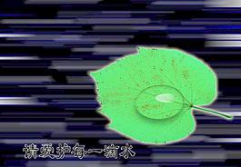 桌面圖片