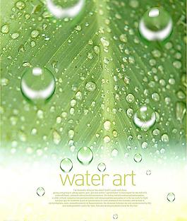 水珠圖片