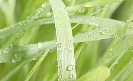 水珠圖片