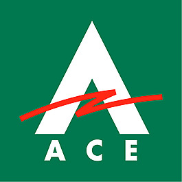 ACE的現金快車0