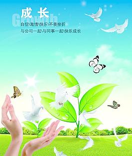 放飛成長圖片
