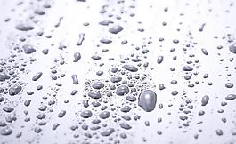 露水圖片