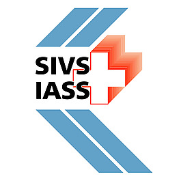 SIV國際會計準則