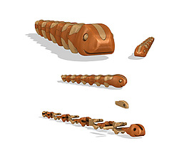 卡特彼勒