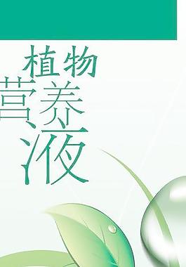 帶水珠的綠色植物枝葉宣傳畫面圖片