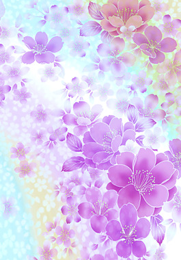 紫色色花瓣绚丽多彩