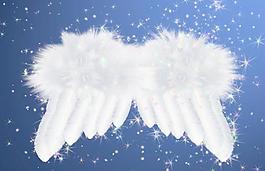 鼠绘天使的翅膀图片