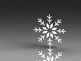 雪花