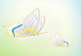 蝴蝶图片