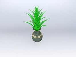 floower