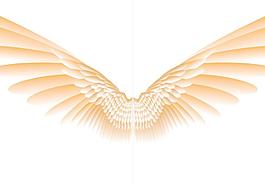 飛翔的鳥圖片