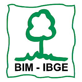 BIM IBGE
