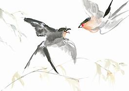 鳥類圖片