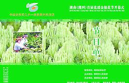 金銀花節(jié)目單正面圖片
