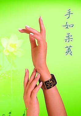 手如柔荑圖片