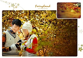 紅色楓葉婚紗模板