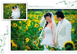 向日光婚纱模板