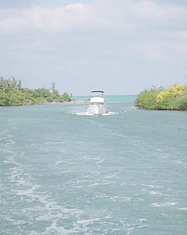 開曼群島海灣中的游艇圖片