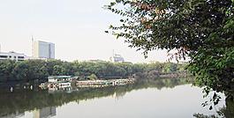 公園風景圖片