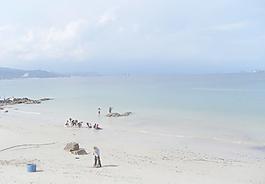 大海图片