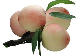 新鲜的桃子