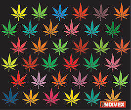 矢量楓葉