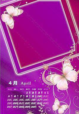 眩彩蝶舞圖片