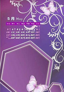 眩彩蝶舞圖片