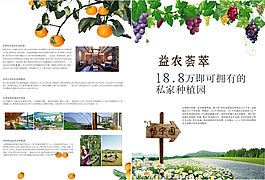 種植園單頁設(shè)計
