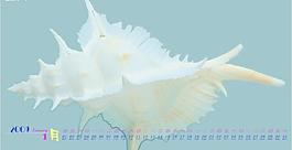 2009年01月字體圖層psd模板圖片