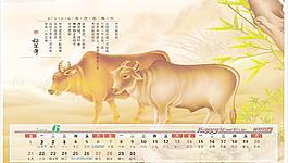 2009牛年臺(tái)歷圖片