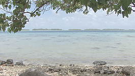 波拉波拉瀉湖水域股票視頻畫面清晰