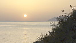 西西里島日落和雜草的股海的錄像