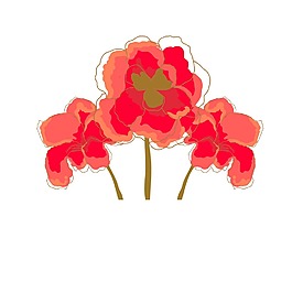 紅色的花朵