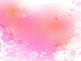 韓式花紋PPT