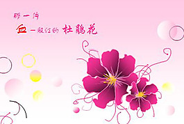 杜鵑花ppt模板