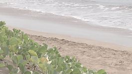 海浪在沙灘上股票的錄像 視頻免費(fèi)下載