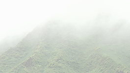 夏威夷山和霧的股票通過(guò)錄像一邊 視頻免費(fèi)下載