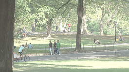 中央公園2股票的錄像 視頻免費下載