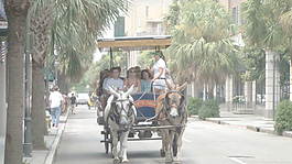 馬車穿越查爾斯頓證券的錄像 視頻免費(fèi)下載