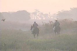 牛仔骑在黎明委内瑞拉股票视频 视频免费下载