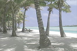 艾圖塔基棕櫚，砂和瀉湖股票視頻 視頻免費(fèi)下載