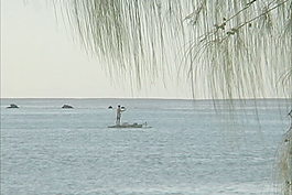 艾圖塔基人筏股票視頻 視頻免費(fèi)下載