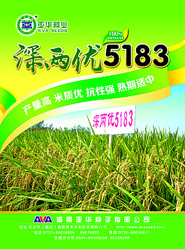 水稻單頁