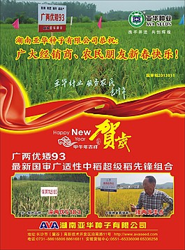 水稻單頁