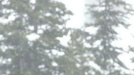侧身大雪2股票的录像 视频免费下载