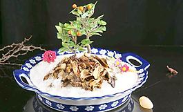 牛肝菌圖片