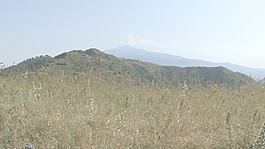 西西里島的雜草和埃特納2股票的錄像 視頻免費下載