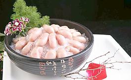 鴕鳥腎圖片