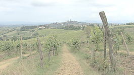 托斯卡納圣吉米尼亞諾遠(yuǎn)3股票的錄像 視頻免費下載